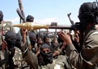 انتحاريون يقتلون 12 شخصا بشمال شرق نيجيريا