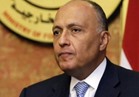 شكري: مصر عازمة بإرادة شعبها وقيادتها حل الأزمات بالمنطقة