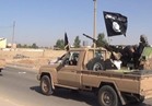 موسكو : «داعش» على وشك الانهيار 