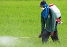 «الزراعة»:خطة لتدريب 50 الف متدرب على الإستخدام الأمثل للمبيدات خلال 5 سنوات