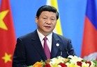 الرئيس الصيني: دول قمة «البريكس» لها تطلعات مشتركة وأهداف واحدة.. فيديو